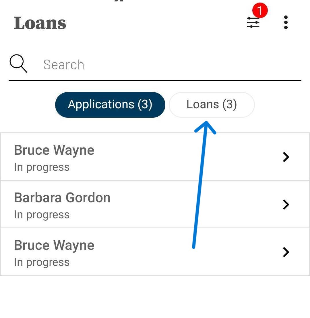 Loans Tab.jpg