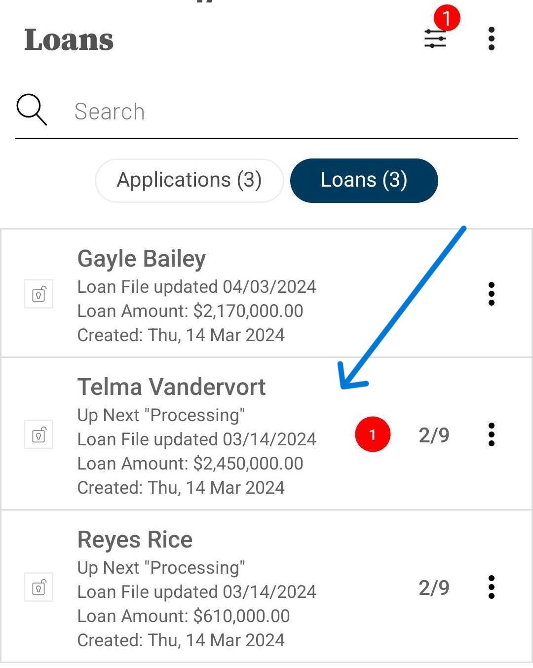 Loans List.jpg